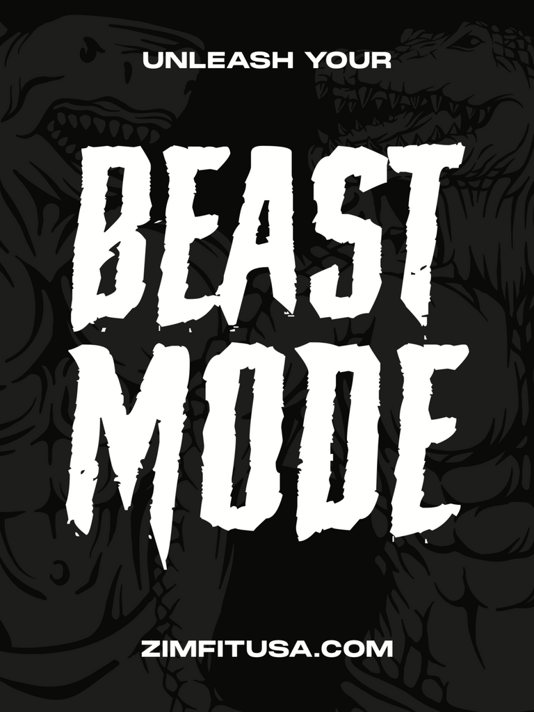 BEAST MODE Banner (36” x 48”) – ZIM FIT